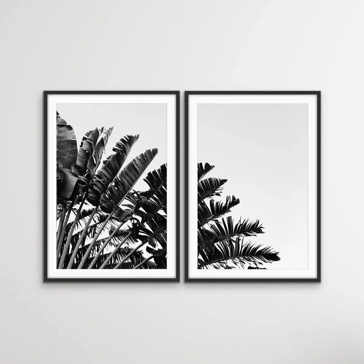 Black and White Banana Palm - Two Piece Boho Banana Palm Print Set Diptych