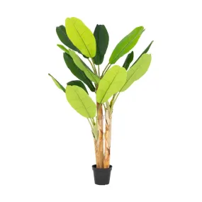 Faux Banana Plant