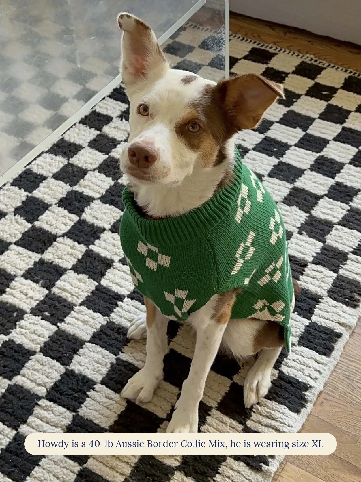 Lucky Floral x Memorial Day Sweater