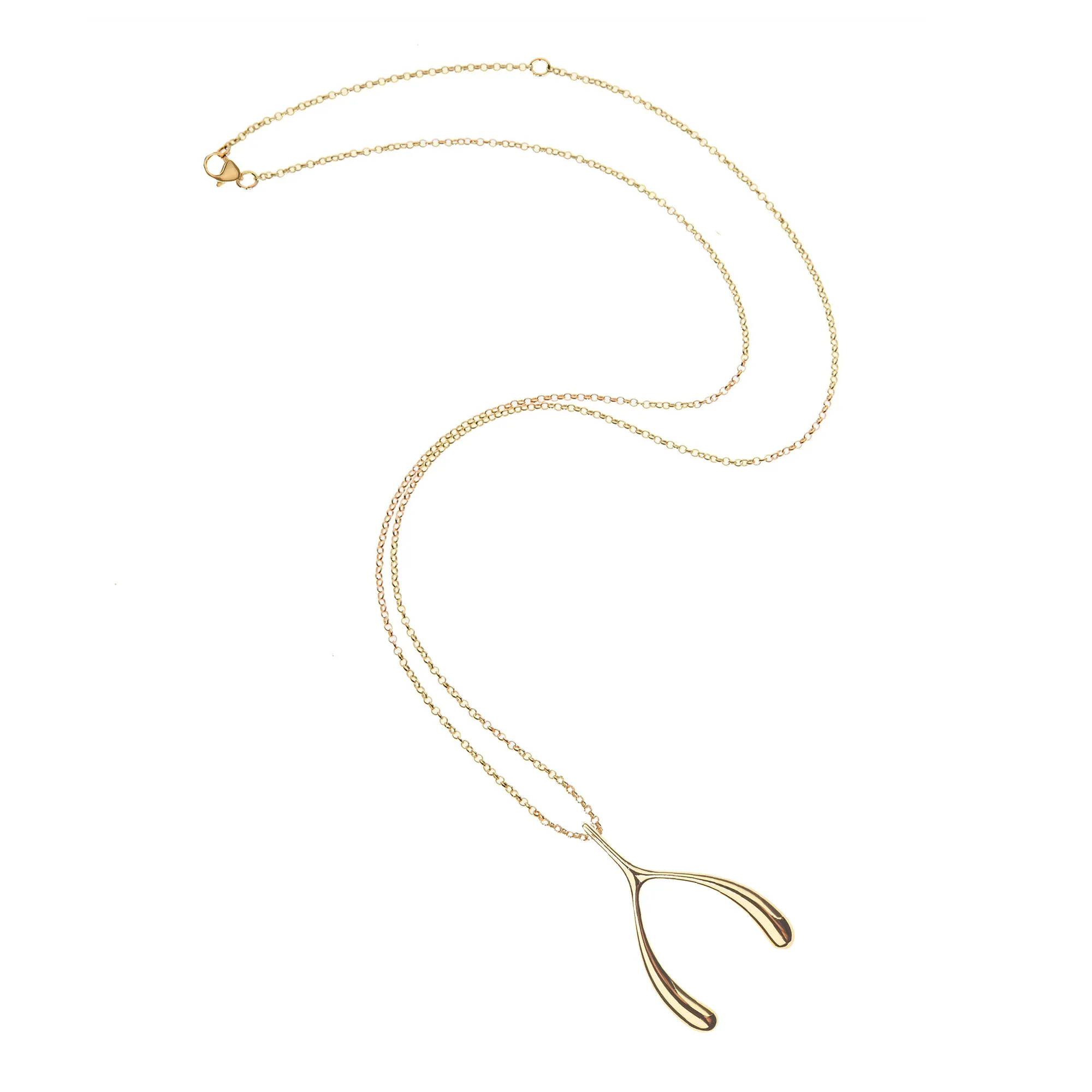 LUCKY Gold Wishbone Pendant