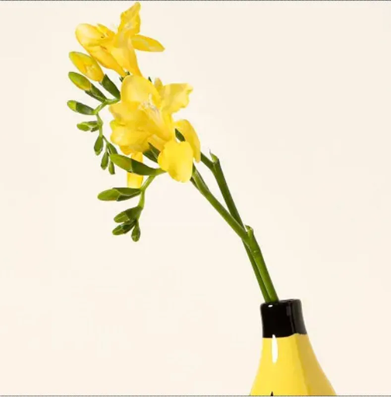 Playful Banana Vase