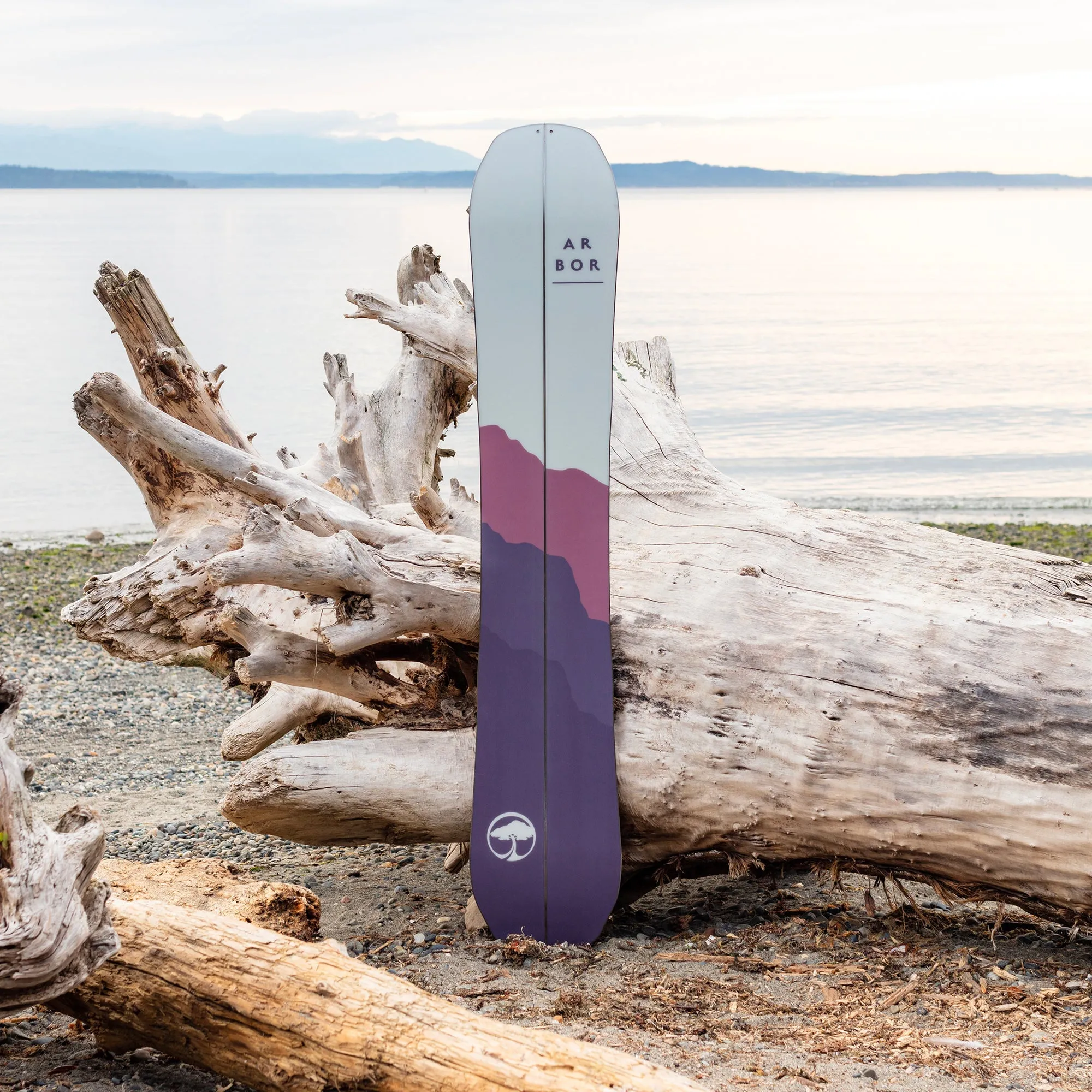 Swoon Splitboard Camber (Factory Second)